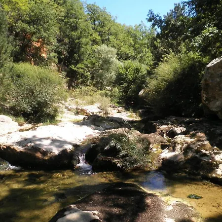 Bus Vintage Pour Retraite En Solo A Bugarach