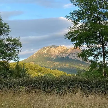 Bus Vintage Pour Retraite En Solo A