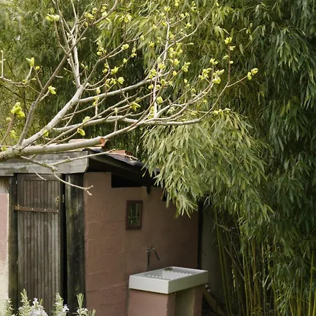 Apartment Bus Vintage Pour Retraite En Solo A Bugarach