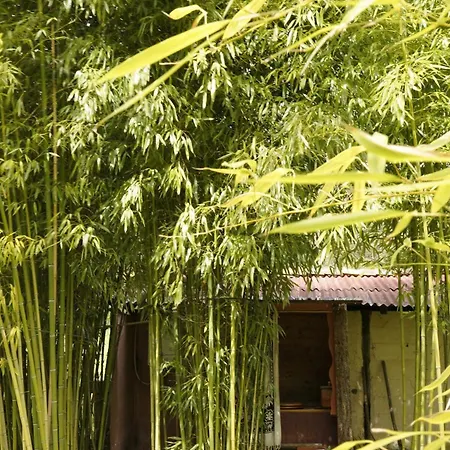 Bus Vintage Pour Retraite En Solo A Bugarach